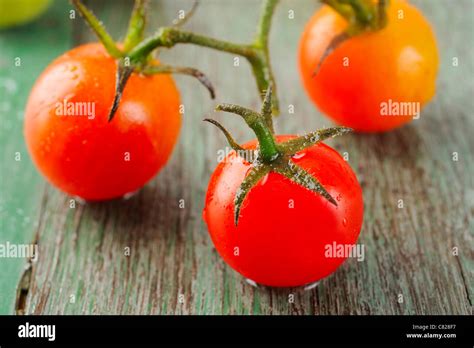 Tomato Hi Res Stock Photography And Images Alamy