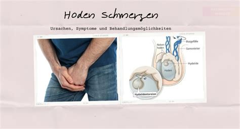 Hoden Schmerzen Ursachen Symptome Und Behandlungsm Glichkeiten