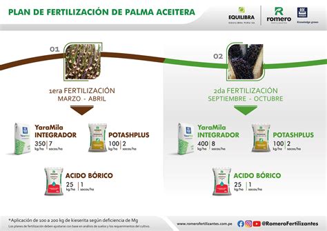 Plan De Fertilizaci N Palma Aceitera Romero Fertilizantes