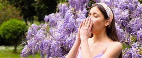 Les solutions pour prévenir et soulager les allergies Groupe Pasteur