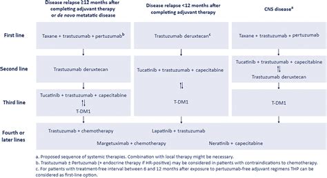 How We Treat Patients With Metastatic Her Positive Breast Cancer