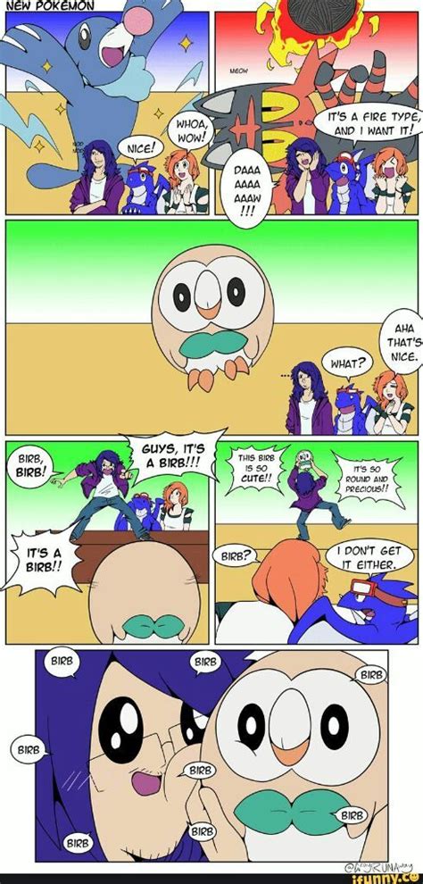 Rowlet Memes Pokémon Amino