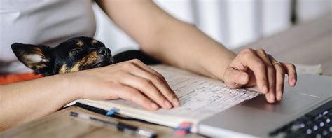 home office design ideas  improved productivity bricsys blog