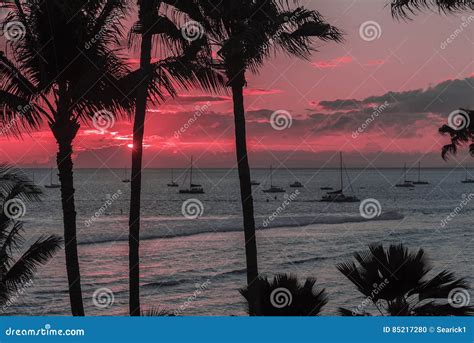 Pink Maui Sunset stock photo. Image of sunset, vacation - 85217280