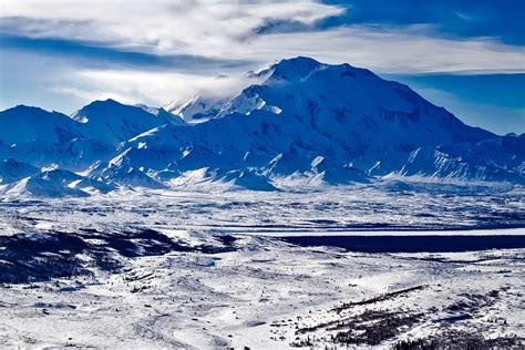 Denali National Park Alaska - Free photo on Pixabay - Pixabay