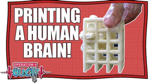 Printing A Human Brain From Scratch Operation Ouch Nugget Youtube