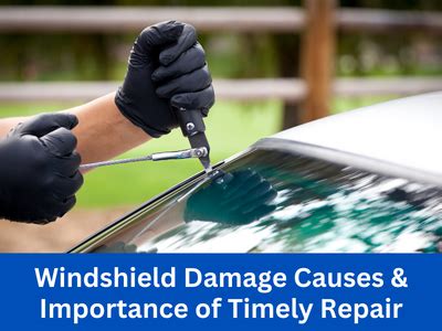 Windshield Damage Causes Importance Of Timely Repair