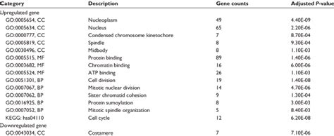 Results Of Significant Go Biological Processes And The Kegg Pathway