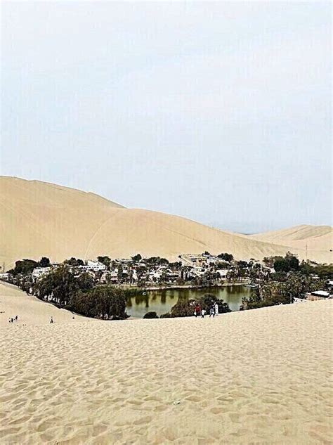 Per Rea De Conservaci N Regional Laguna De Huacachina Ica District