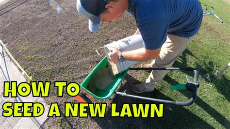 How To Plant A New Lawn From Seed Youtube