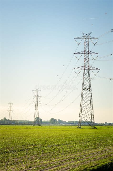 High Voltage Electricity Pylons In Agricultural Fields At Sunset Stock