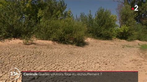 Réchauffement climatique que faire face à la canicule