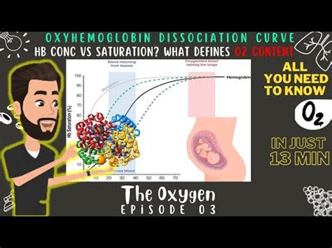 Oxyhemoglobin Dissociation Curve Basics Clinical Application In O