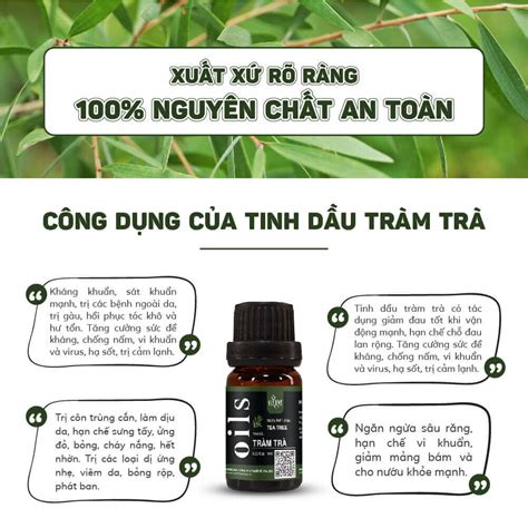 Tinh Dầu Tràm Trà Nguyên Chất 100% - Chai 10ml, 30ml, 100ml