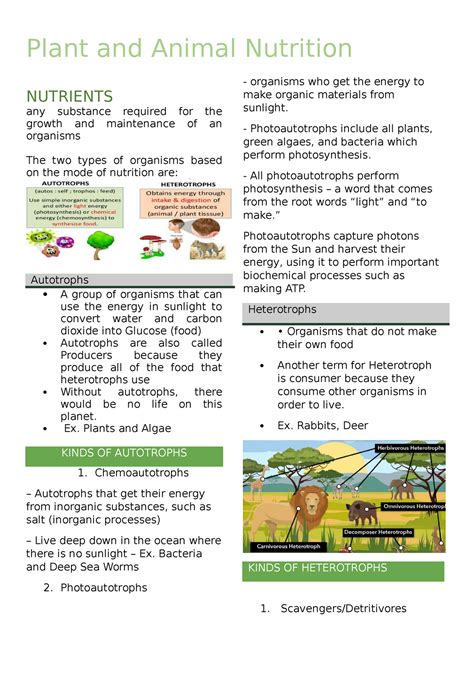 Plant And Animal Cell Biology Plant And Animal Nutrition Nutrients