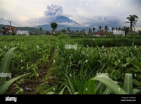 Bali Indonesia 28th Nov 2017 The Eruption Of Mt Agung Disrupts