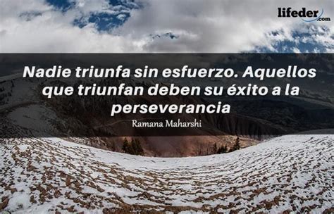 Frases El Esfuerzo Y La Constancia