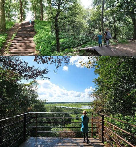 Wandelen Op De Utrechtse Heuvelrug De Mooiste Korte Routes Artofit