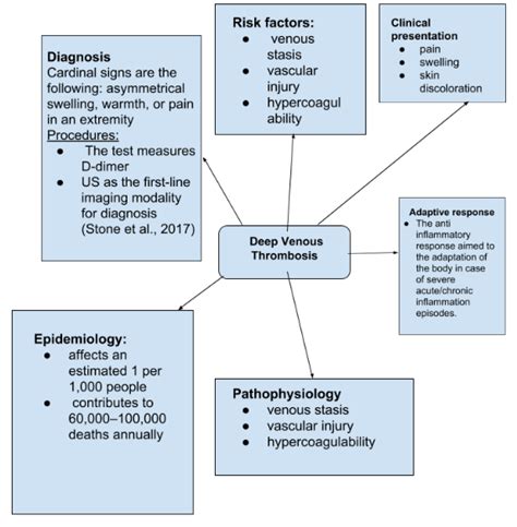 Cvi Vs Dvt Pathophysiology And Key Differences Free Essay Example