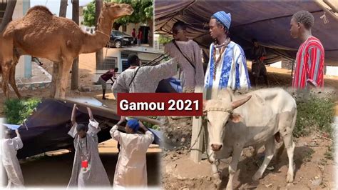 Preparations kourèl Askhaboul Dianati Touba kebemer Gamou 2021 YouTube