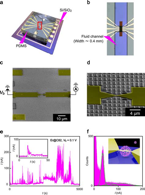 Single Molecule Counting Using Nanopore Sensing Device A A