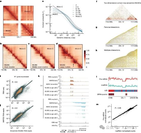 Nature｜衰老人脑中的单细胞多重染色质和rna相互作用 知乎