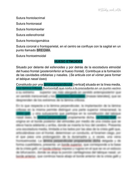 Solution Guia Anatomia De La Cabeza Craneo Studypool