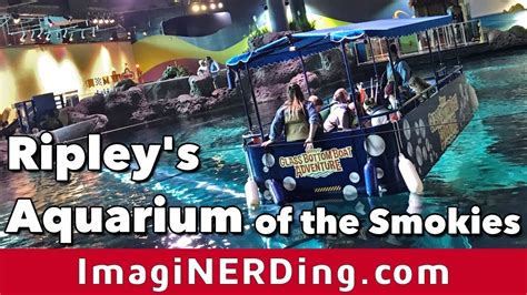 Ripleys Aquarium Of The Smokies In Gatlinburg Tn Youtube