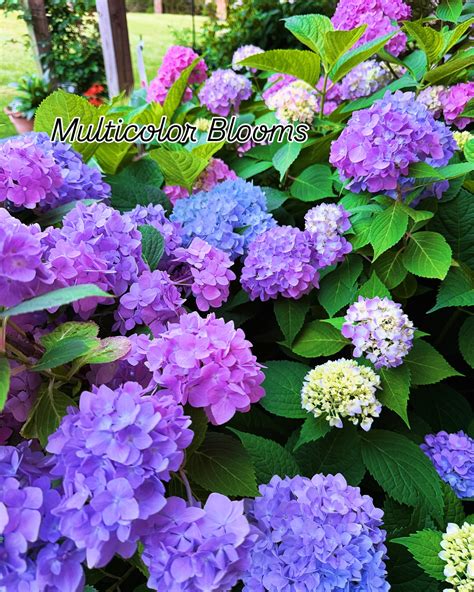 Customers are raving about the staff at ace hardware hendersonville nc 6