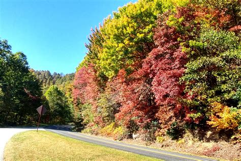 Blue Ridge Parkway near Asheville | Our Wander Years