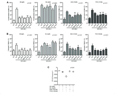 Cd34 Positive Cells Expressing Atypical Bcr Abl1 Transcripts Are Download Scientific Diagram