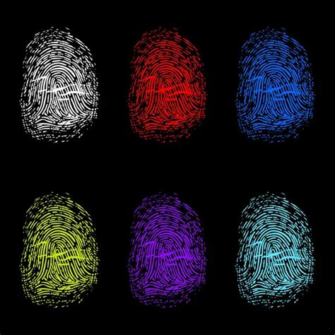 Fingerprints Detailed — Stock Vector © I3alda 10802838