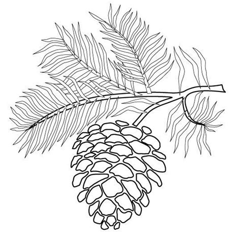 Pine Cone Coloring Page at GetDrawings | Free download