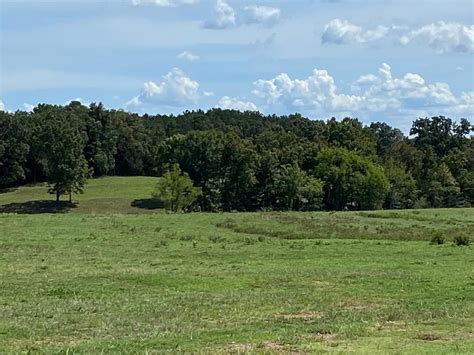 Center Ridge Conway County Ar Undeveloped Land For Sale Property Id