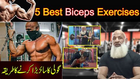 5 Best Biceps Exercises How To Increase Bicep Size Abdul Waheed