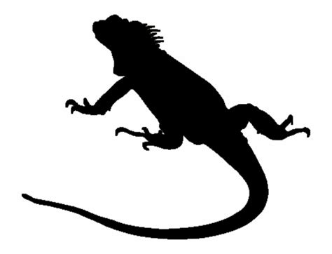 Iguana clipart silhouette, Iguana silhouette Transparent FREE for ...