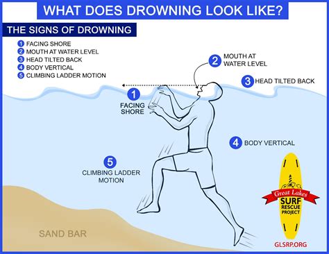 great lakes surf rescue project signs  drowning great lakes surf