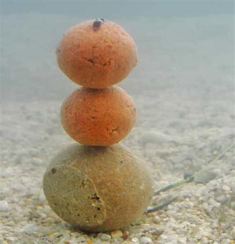 Бойлы для рыбалки – что это такое?