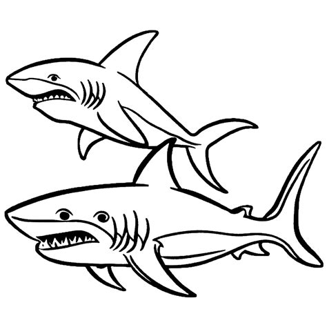 P Gina De Tiburones Para Colorear Creative Fabrica