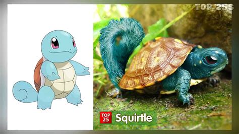 Pokemon That Exist In Real Life Atelier Yuwaciaojp