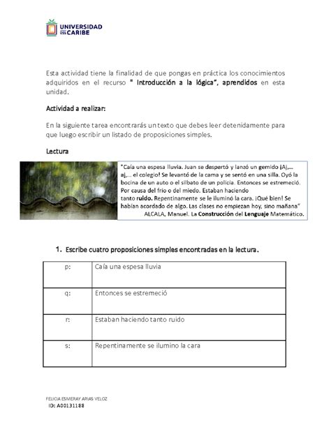 Matematica Unidad Actividad Ejercicios Obligatorios Felicia