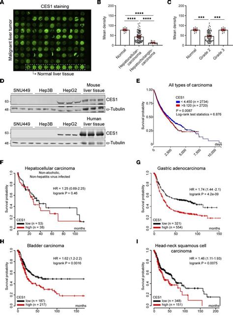 Jci Insight Interfering With Lipid Metabolism Through Targeting Ces