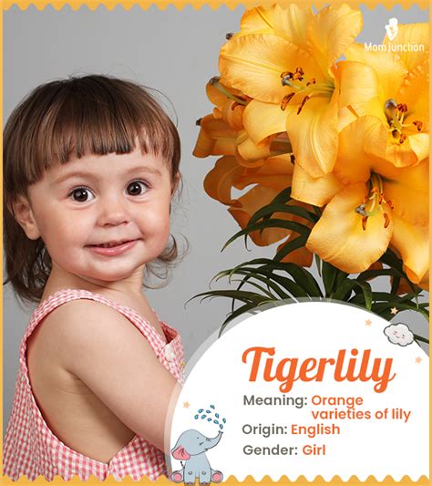 Explore Tigerlily: Meaning, Origin & Popularity