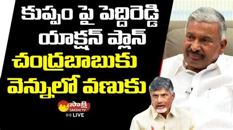 Peddireddy Ramachandra Reddy Action Plan On Kuppam Sakshi Tv Live