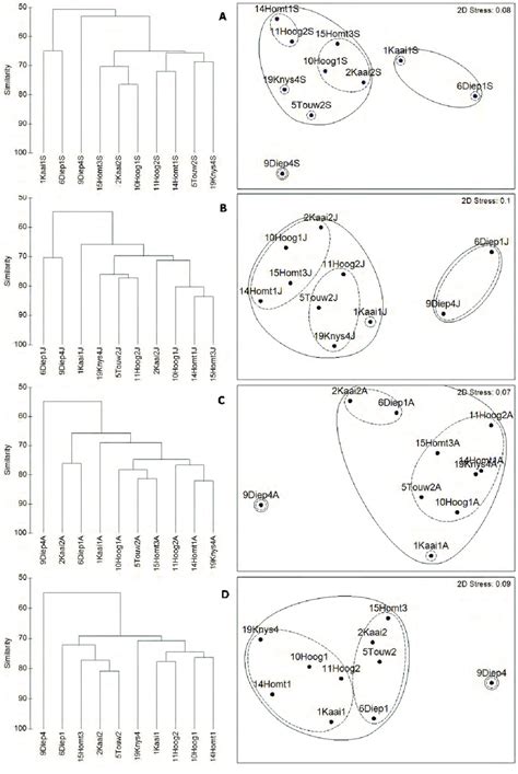 Cluster And Mds Ordination Plots For Each Sampling Period