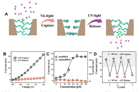 Figure From Biomimetic Solid State Nanochannels For Chemical And