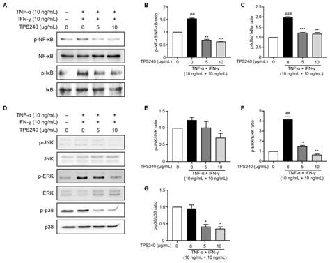 Ijms Free Full Text Anti Atopic Dermatitis Effect Of Tps240 A