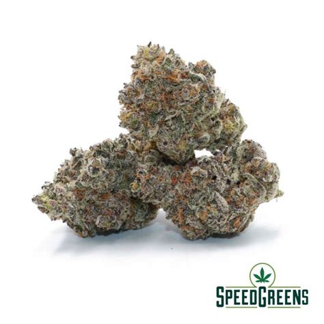 Best Weed Strains for an Unforgettable High | Speed Greens