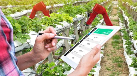 Agrotech en Argentina Qué es retos y futuro InnovaciónDigital360