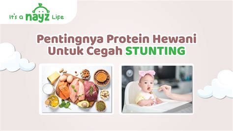 Pentingnya Protein Hewani Untuk Cegah Stunting Youtube